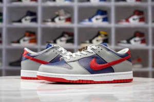 NK DUNK LOW 