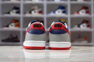 NK DUNK LOW 