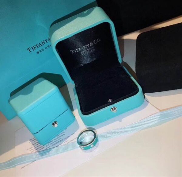 TIFFANY & CO. JEWELREY - WJL71