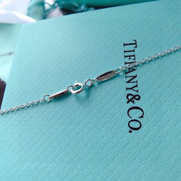 TIFFANY & CO. JEWELREY - WJL84