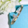 TIFFANY & CO. JEWELREY - WJL53