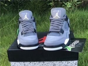 Air Jordan 4 Cool Grey - AJH115