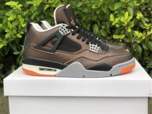 Air Jordan 4 WMNS Starfish - AJH091