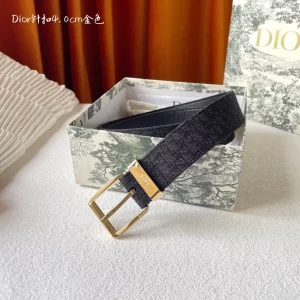 DIOR BELT - B104